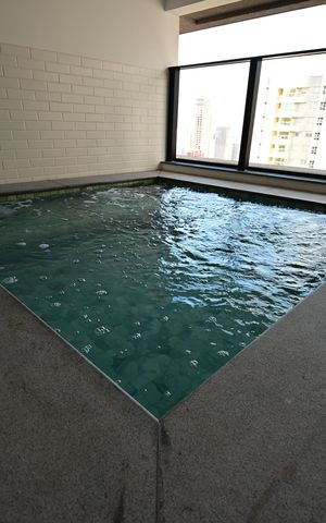 Apartamento para alugar com 87m², 2 quartos e 1 vaga
