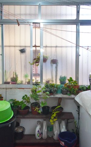 Apartamento à venda com 80m², 2 quartos e sem vagaÁrea de Serviço
