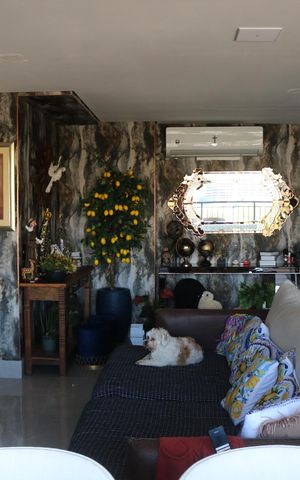 Apartamento à venda com 116m², 3 quartos e 2 vagasSala
