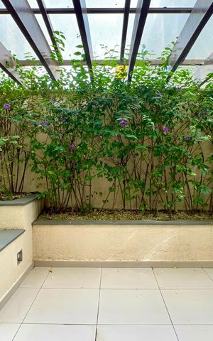 Apartamento para alugar com 45m², 1 quarto e 1 vaga Apartamento para alugar com 45m², 1 quarto e 1 vagaSalão de Festas