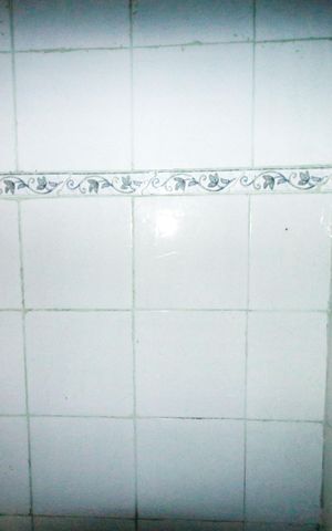Casa para alugar com 50m², 1 quarto e sem vagaBanheiro