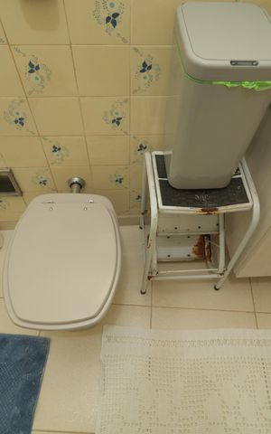 Casa à venda com 300m², 3 quartos e 2 vagasBanheiro da Suíte