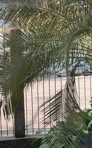 Apartamento à venda com 47m², 2 quartos e 1 vagaVista da Sala
