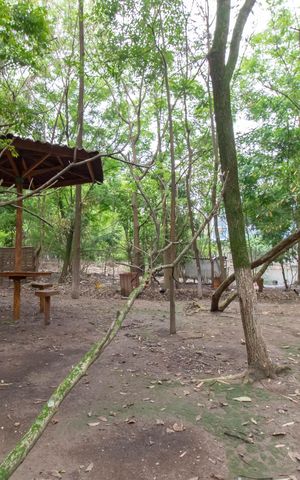 Apartamento à venda com 47m², 2 quartos e 1 vaga Apartamento à venda com 47m², 2 quartos e 1 vagaArea Comum - Bosque Privativo