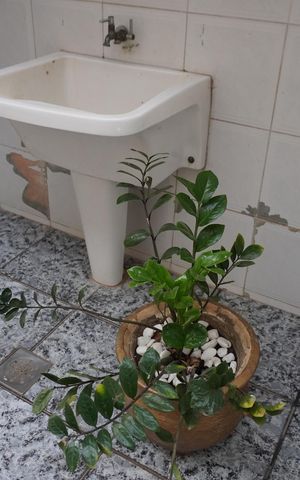 Casa para alugar com 201m², 3 quartos e 2 vagasÁrea de Serviço