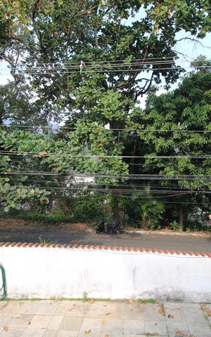 Casa de condomínio para alugar com 376m², 4 quartos e 5 vagasVista da varanda da sala