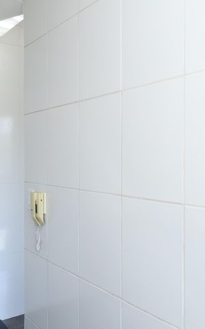 Apartamento para alugar com 51m², 3 quartos e sem vagaCozinha