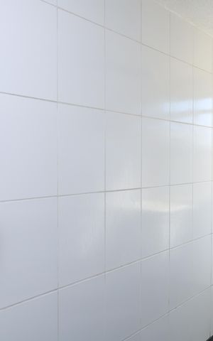 Apartamento para alugar com 51m², 3 quartos e sem vagaCozinha