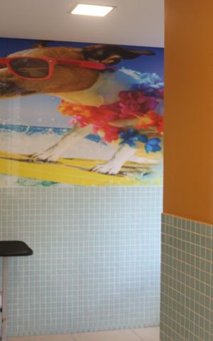 Apartamento à venda com 76m², 3 quartos e 2 vagasÁrea comum