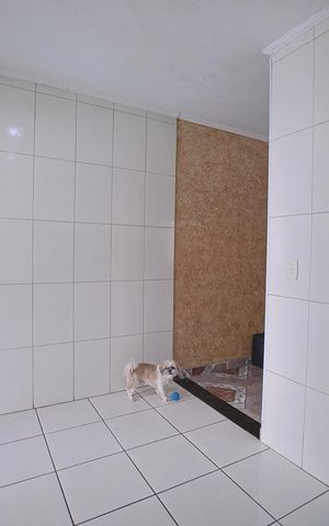 Casa à venda com 152m², 4 quartos e 2 vagasCozinha - Casa 2