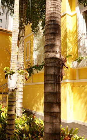 Apartamento para alugar com 90m², 1 quarto e 1 vaga Apartamento para alugar com 90m², 1 quarto e 1 vagaJardim