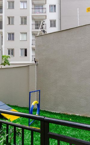 Apartamento para alugar com 38m², 2 quartos e sem vagaPet Place