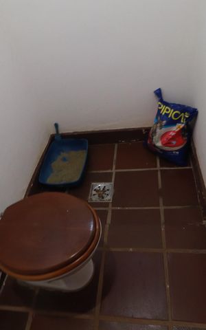 Casa para alugar com 450m², 4 quartos e 2 vagasBanheiro suite 1