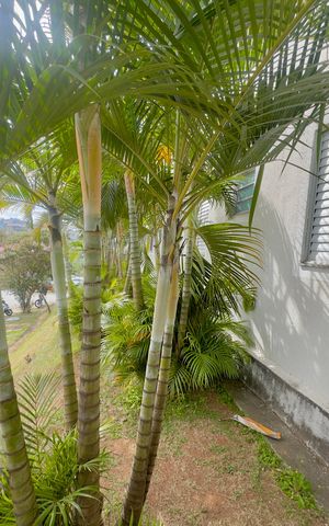 Apartamento para alugar com 52m², 2 quartos e 1 vagaPlaca instalada na fachada do imóvel 