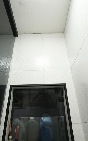 Casa para alugar com 205m², 4 quartos e 1 vagaBanheiro Social