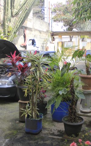 Casa à venda com 600m², 6 quartos e 6 vagasQuintal/ Garagem 