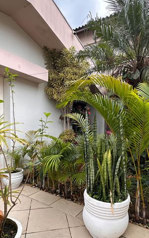 Casa à venda com 291m², 3 quartos e 4 vagasEntrada