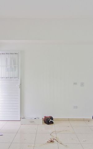 Apartamento para alugar com 70m², 2 quartos e sem vaga Apartamento para alugar com 70m², 2 quartos e sem vagaSala