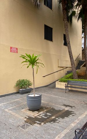 Apartamento para alugar com 60m², 2 quartos e 1 vaga Apartamento para alugar com 60m², 2 quartos e 1 vagaÁrea comum