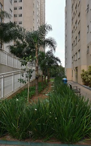 Apartamento para alugar com 41m², 2 quartos e sem vagaJardim