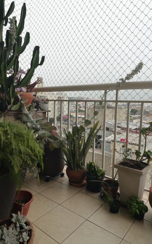 Apartamento à venda com 63m², 1 quarto e 1 vagaVaranda