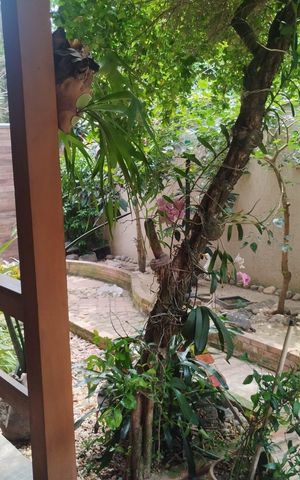 Casa à venda com 110m², 3 quartos e 2 vagas Casa à venda com 110m², 3 quartos e 2 vagasÁrea externa