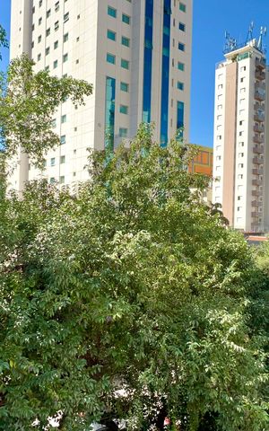 Apartamento à venda com 58m², 1 quarto e 1 vaga Apartamento à venda com 58m², 1 quarto e 1 vagaVista da Varanda