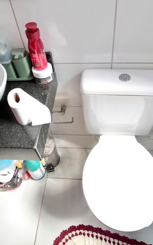 Apartamento para alugar com 44m², 2 quartos e 1 vaga Apartamento para alugar com 44m², 2 quartos e 1 vagaBanheiro Social