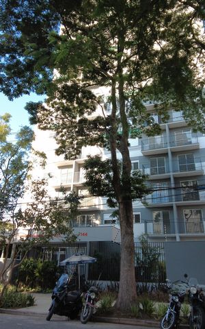 Apartamento para alugar com 30m², 1 quarto e sem vagaFachada