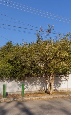 Casa à venda com 175m², 3 quartos e 1 vagaFachada