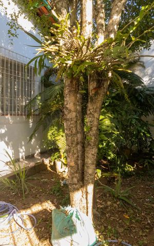Casa à venda com 175m², 3 quartos e 1 vagaQuintal