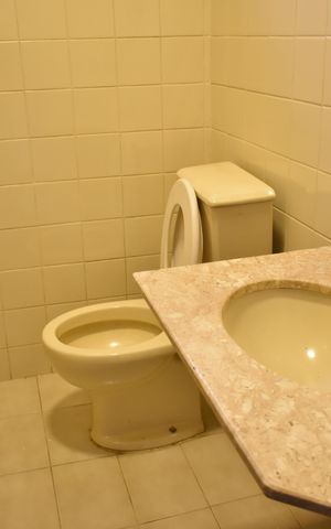 Casa para alugar com 155m², 3 quartos e 2 vagasLavabo