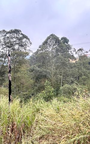Casa para alugar com 26m², 1 quarto e sem vaga Casa para alugar com 26m², 1 quarto e sem vagaVista do Quarto