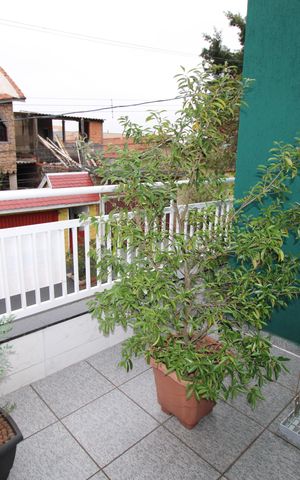 Casa à venda com 180m², 2 quartos e 2 vagasQuintal