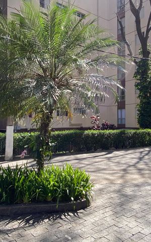 Apartamento para alugar com 68m², 3 quartos e 1 vaga Apartamento para alugar com 68m², 3 quartos e 1 vagaÁrea externa