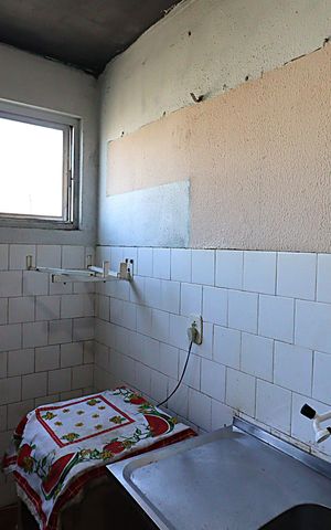 Apartamento para alugar com 46m², 1 quarto e sem vagaCozinha
