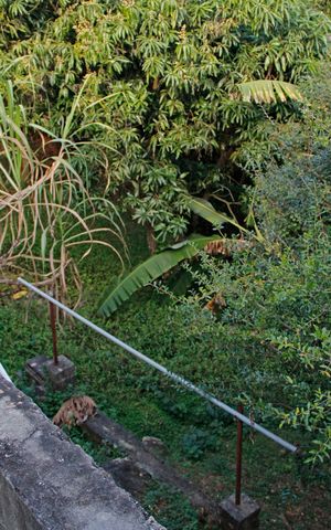 Casa de condomínio para alugar com 300m², 3 quartos e 4 vagasÁrea externa