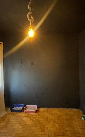 Apartamento à venda com 94m², 3 quartos e 1 vaga