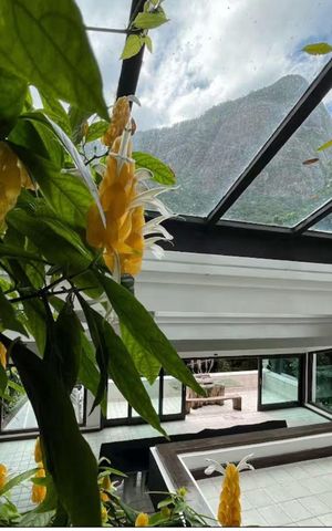 Casa à venda com 1000m², 5 quartos e 2 vagas Casa à venda com 1000m², 5 quartos e 2 vagasÁrea externa