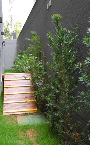 Apartamento para alugar com 24m², 1 quarto e sem vagaEspaço Pet