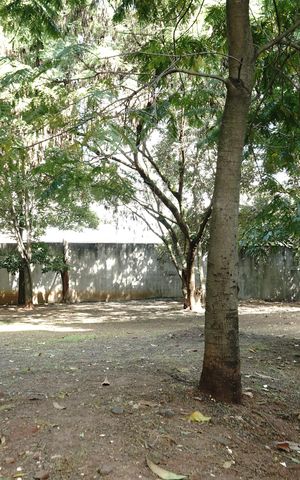 Apartamento à venda com 52m², 2 quartos e 1 vagaÁrea comum