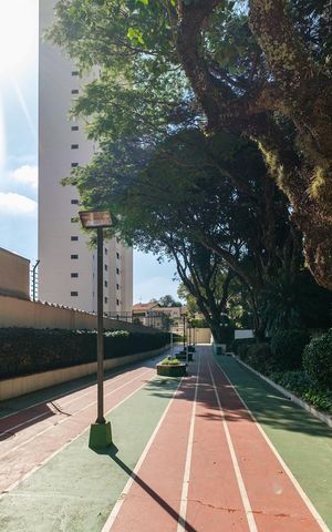 Apartamento à venda com 590m², 3 quartos e 5 vagas Apartamento à venda com 590m², 3 quartos e 5 vagasPista Esportiva