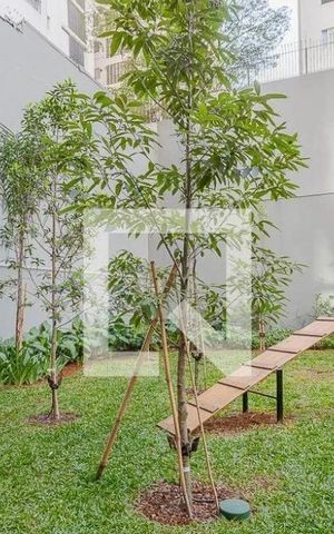 Studio para alugar com 31m², 1 quarto e sem vaga