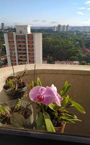 Apartamento à venda com 46m², 2 quartos e 1 vaga Apartamento à venda com 46m², 2 quartos e 1 vagaVaranda