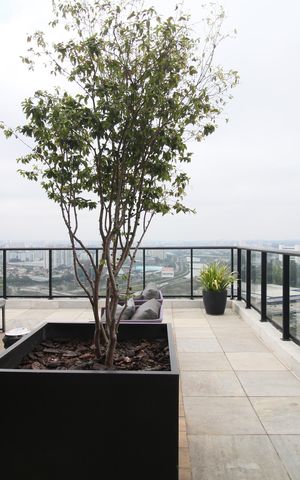 Apartamento à venda com 41m², 2 quartos e sem vagaÁrea comum - Hoof Top