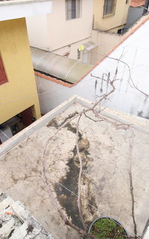 Casa para alugar com 146m², 4 quartos e 2 vagasLaje
