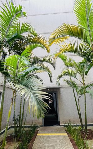 Apartamento para alugar com 37m², 2 quartos e 1 vaga Apartamento para alugar com 37m², 2 quartos e 1 vagaFachada do bloco