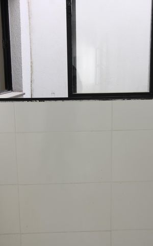 Studio para alugar com 33m², 1 quarto e sem vagaÁrea de Serviço