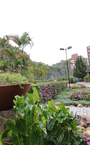 Apartamento à venda com 116m², 4 quartos e 2 vagasÁrea verde