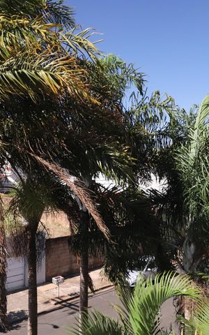 Apartamento para alugar com 45m², 2 quartos e 1 vagaVista